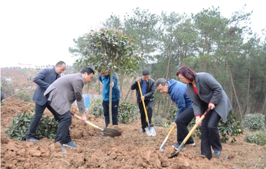 县人大机关组织开展义务植树活动